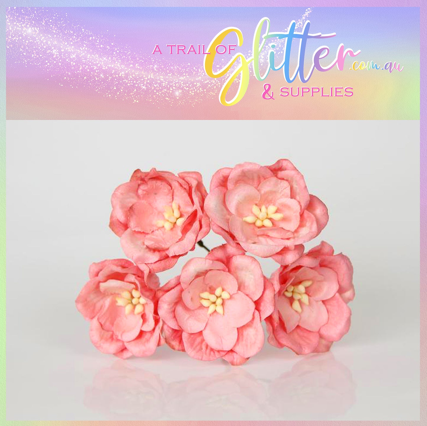 Pink/Apricot Magnolia - Big poppy