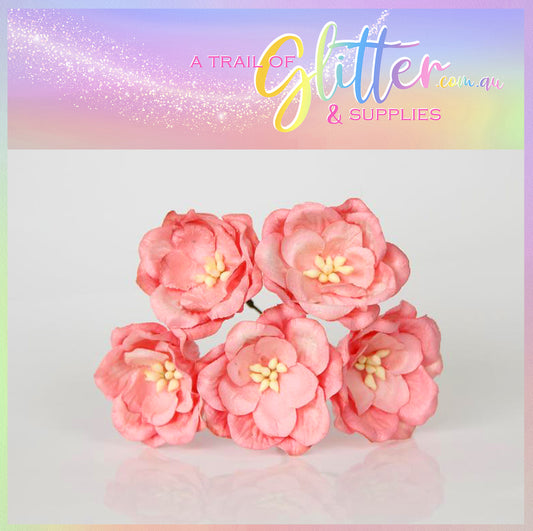 Pink/Apricot Magnolia - Big poppy